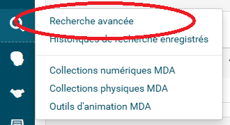copie d'écran du module de recherche avancée