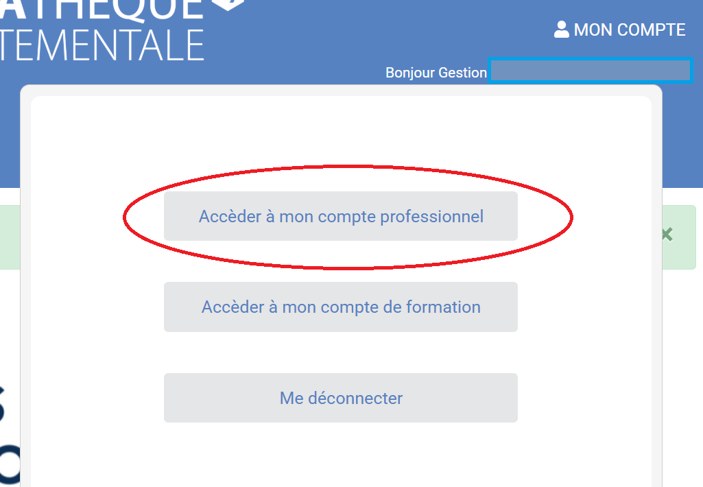 copie d'écran de la rubrique Accéder à mon compte professionnel