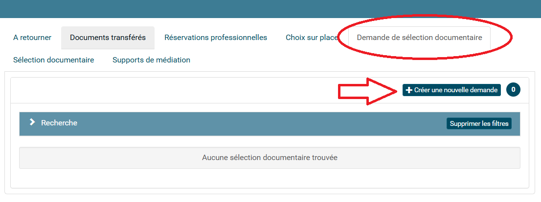 copie d'écran du bouton créer une nouvelle demande