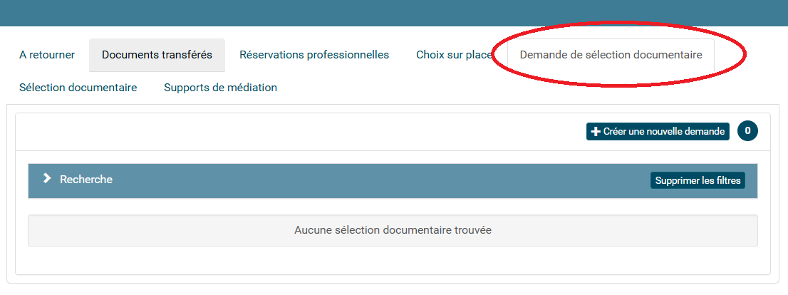copie d'écran de l'onglet demande de sélection documentaire